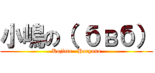 小嶋の（ бвб） (Kojima   Haryana)