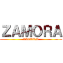 ＺＡＭＯＲＡ (VACUUM)