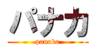 パナカ (panaka)