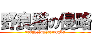 野良猫の侵略 (noranekonosinryaku)