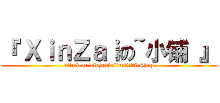 『 ＸｉｎＺａｉの~小铺 』 (attack on XinzaiOnlineLittleShop)