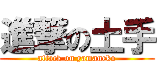 進撃の土手 (attack on yamaneko)