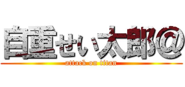自重せい太郎＠ (attack on titan)
