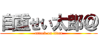 自重せい太郎＠ (attack on titan)