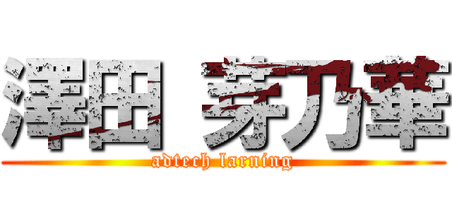 澤田 芽乃華 (adtech larning)