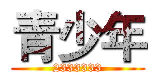 青少年 (2333333)