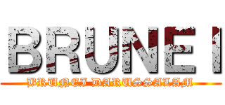 ＢＲＵＮＥＩ (BRUNEI DARUSSALAM)