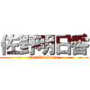 佐野明日香 (Asuka Sano)