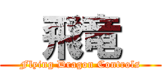   飛竜   (Flying Dragon Controls)