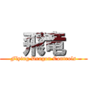   飛竜   (Flying Dragon Controls)