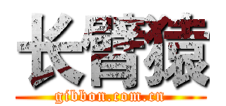 长臂猿 (gibbon.com.cn)