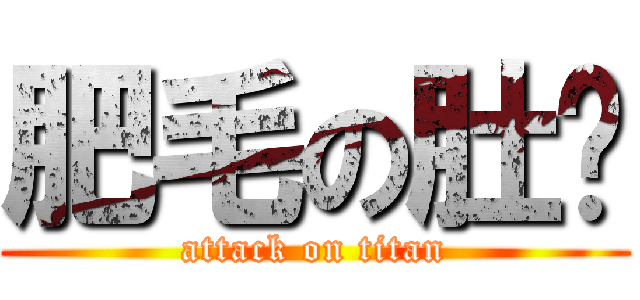 肥毛の肚腩 (attack on titan)