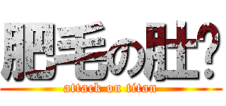 肥毛の肚腩 (attack on titan)
