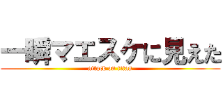 一瞬マエスケに見えた (attack on titan)