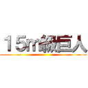 １５ｍ級巨人 ()
