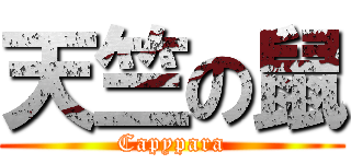 天竺の鼠 (Capypara)