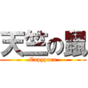 天竺の鼠 (Capypara)