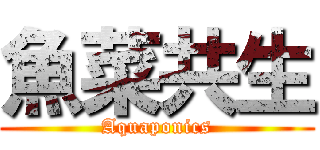 魚菜共生 (Aquaponics)