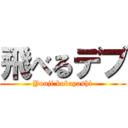 飛べるデブ (Youji kobayashi)