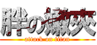 胖の嫩夾 (attack on titan)