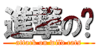 進撃の貓 (attack on wild cats)