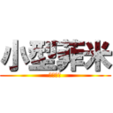 小型菲米 (仁兇本腐)