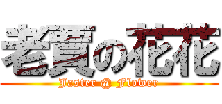 老賈の花花 (Jaster @ Flower)