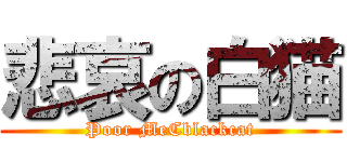 悲哀の白猫 (Poor MeCblackcat)