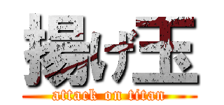 揚げ玉 (attack on titan)