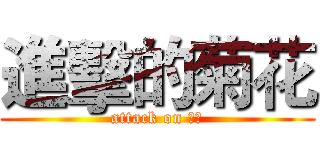 進擊的菊花 (attack on 菊花)