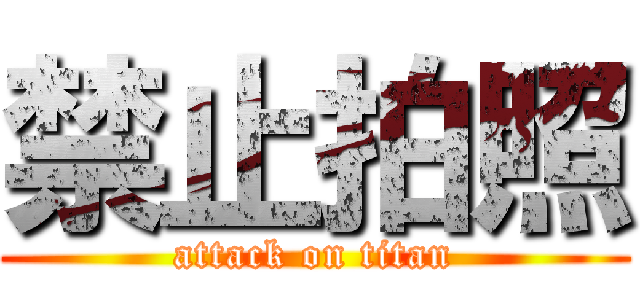 禁止拍照 (attack on titan)