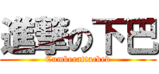 進撃の下巴 (Cumberattacked)