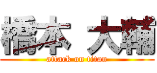 橋本 大輔 (attack on titan)