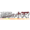 進撃の小天兽 (attack on titan)