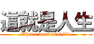 這就是人生 (What a wonderful life)