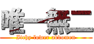 唯一無二 (Itchy lower abdomen)