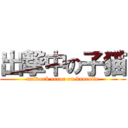 出撃中の子猫 (network error on kancolle)