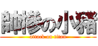 帥慘の小豬 (attack on titan)