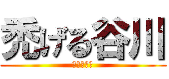 禿げる谷川 (はげる谷川)
