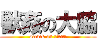 獣姦の大脇 (attack on titan)