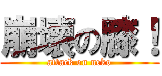 崩壊の膝！ (attack on neko)