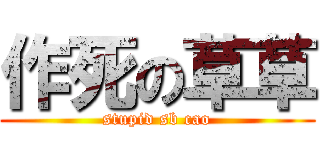 作死の草草 (stupid sb cao)