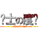 绅士の度妈 (HenTai)