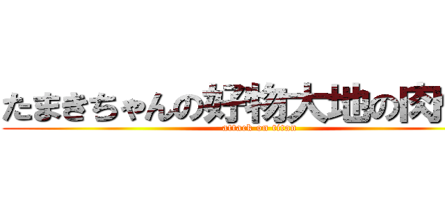 たまきちゃんの好物大地の肉体♡ (attack on titan)