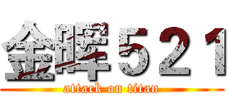 金晖５２１ (attack on titan)