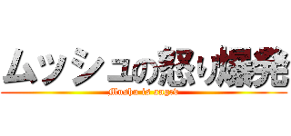 ムッシュの怒り爆発 (Mushu is angrv)