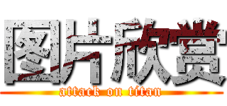 图片欣赏 (attack on titan)