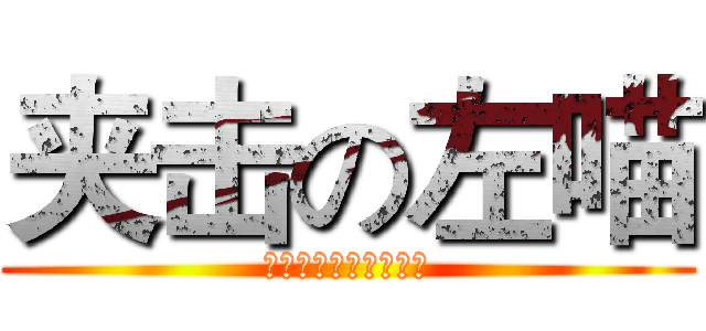夹击の左喵 (你两腿一夹我看不见了)