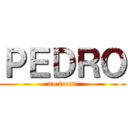 ＰＥＤＲＯ (no tocar)