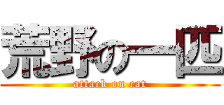 荒野の一匹 (attack on cat)